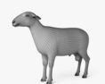 Mouton Modèle 3d