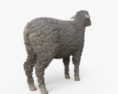 Sheep HD 3d model