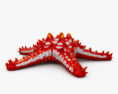Red-Knobbed Starfish HD 3d model