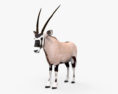 Oryx Modelo 3d