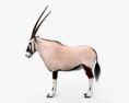 Oryx Modelo 3D