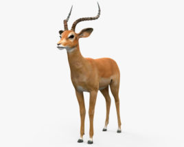 高角羚 3D模型