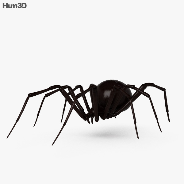 Black Widow Spider HD 3D model
