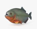 Piranha HD 3d model