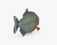 食人鱼 3D模型
