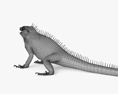 Iguana Modello 3D
