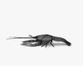 淡水龙虾 3D模型