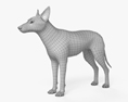 Kojote 3D-Modell