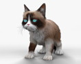 Grumpy Cat Modelo 3d