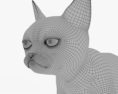 Grumpy Cat HD 3D модель