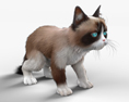 Mürrische Katze 3D-Modell
