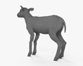 Lamb HD 3d model