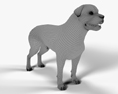 Rottweiler Modello 3D