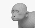 Mono capuchino Modelo 3D