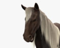 Rocky Mountain Horse HD 3D 모델 