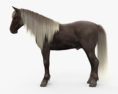Rocky Mountain Horse 3d model