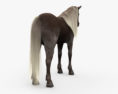 Rocky Mountain Horse HD Modèle 3d