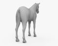 Rocky Mountain Horse HD 3D-Modell