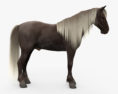 Rocky Mountain Horse 3d model