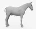 Rocky Mountain Horse HD 3D 모델 