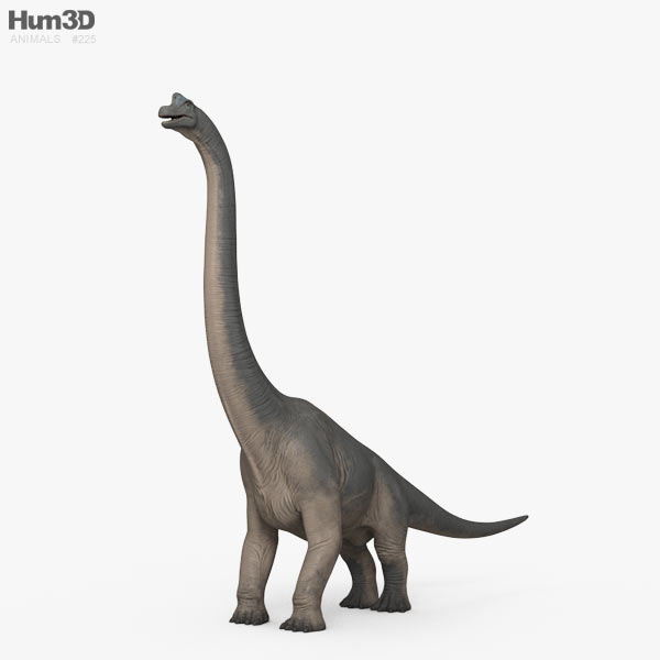 Brachiosaurus HD 3D model
