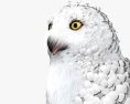 Snowy Owl HD 3d model