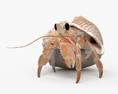 Hermit Crab HD 3d model
