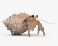 Hermit Crab HD 3d model