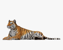 Tigre mentiroso Modelo 3D