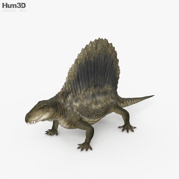 Dimetrodon Modelo 3D