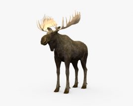 駝鹿 3D模型