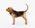 Bloodhound HD 3d model