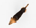 Bloodhound HD 3d model