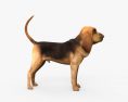 Bloodhound 3D-Modell