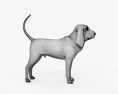 Perro de San Huberto Modelo 3D