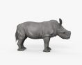 코뿔소 새끼 3D 모델 
