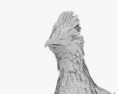Ruffed Grouse 3d model