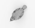 Ruffed Grouse 3d model