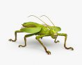 Jungle Nymph 3d model