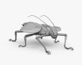 Jungle Nymph 3d model