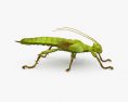Jungle Nymph 3d model