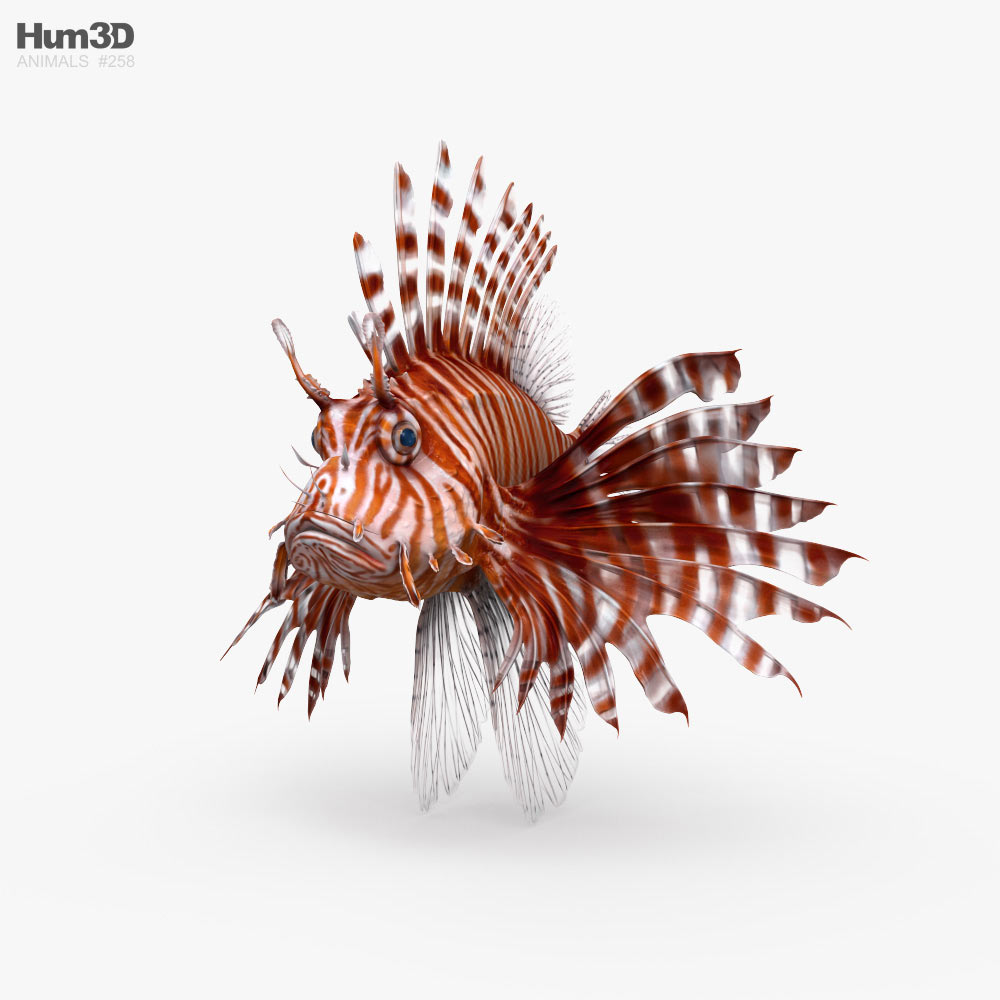 Lionfish 3D model