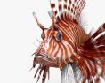 Pesce leone Modello 3D
