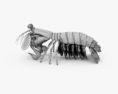 Mantis Shrimp HD 3d model