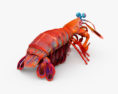 Mantis Shrimp HD 3d model