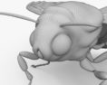 Death's-Head Hawkmoth 3D модель