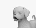 Shih Tzu Modelo 3D