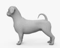 西施犬 3D模型