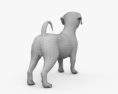 西施犬 3D模型