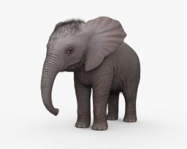 Baby Elephant HD 3D model